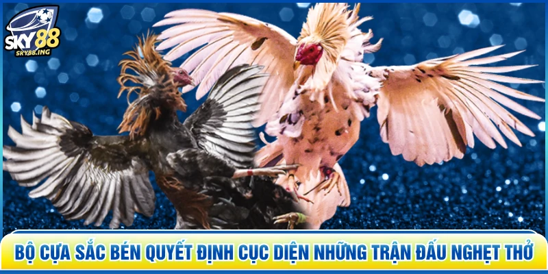 Bộ cựa sắc bén quyết định cục diện những trận đấu nghẹt thở