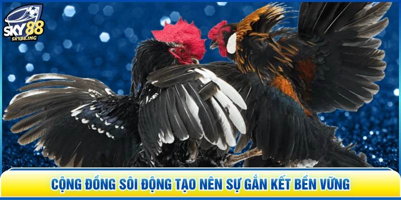 Cộng đồng sôi động tạo nên sự gắn kết bền vững