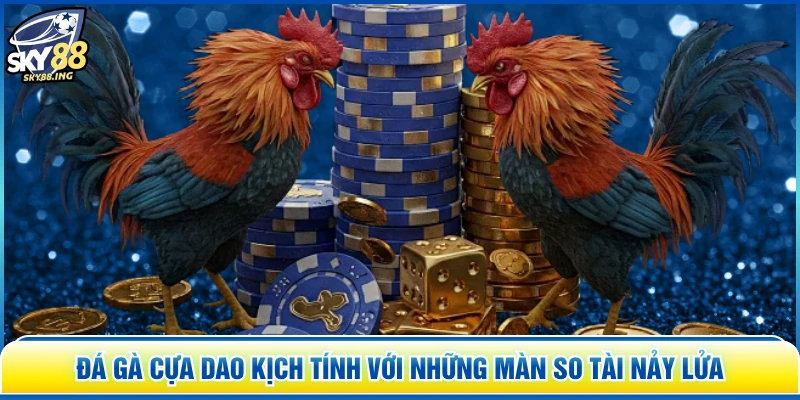 Đá gà cựa dao kịch tính với những màn so tài nảy lửa