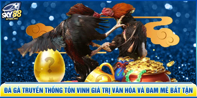 Đá Gà Truyền Thống tôn vinh giá trị văn hóa và đam mê bất tận