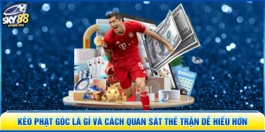 Kèo Phạt Góc Là Gì Và Cách Quan Sát Thế Trận Dễ Hiểu Hơn