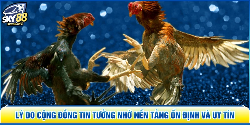 Lý do cộng đồng tin tưởng nhờ nền tảng ổn định và uy tín