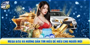 Mega 6/55 Và Hướng Dẫn Tìm Hiểu Dễ Hiểu Cho Người Mới